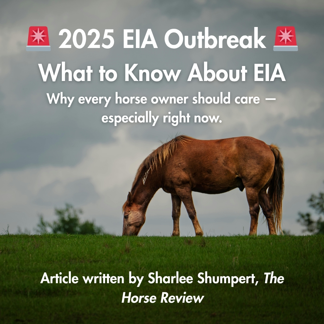 The Current EIA Outbreak