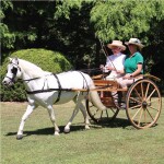Imogene Erb : A lifetime with horses