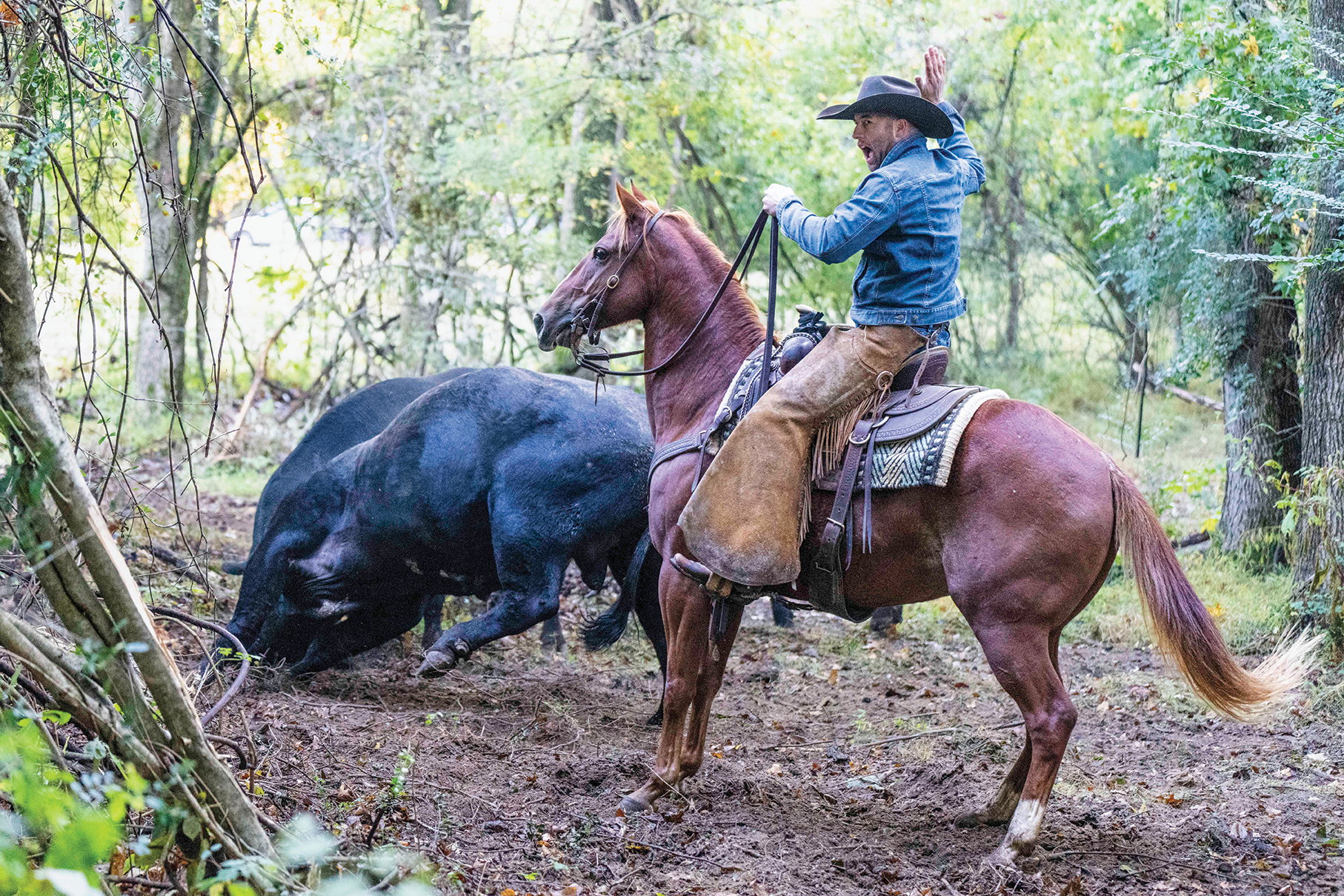 _A1P8358_Panther Creek Bulls 2022_SMJPG