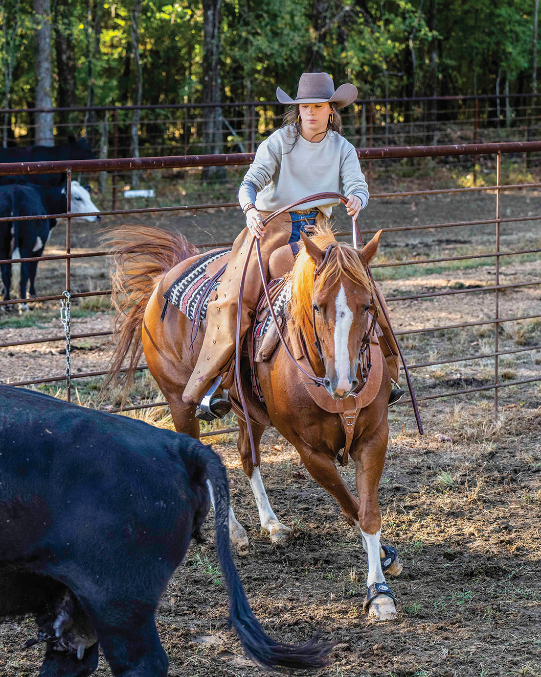 _A1P8435_Panther Creek Bulls 2022_SMJPG