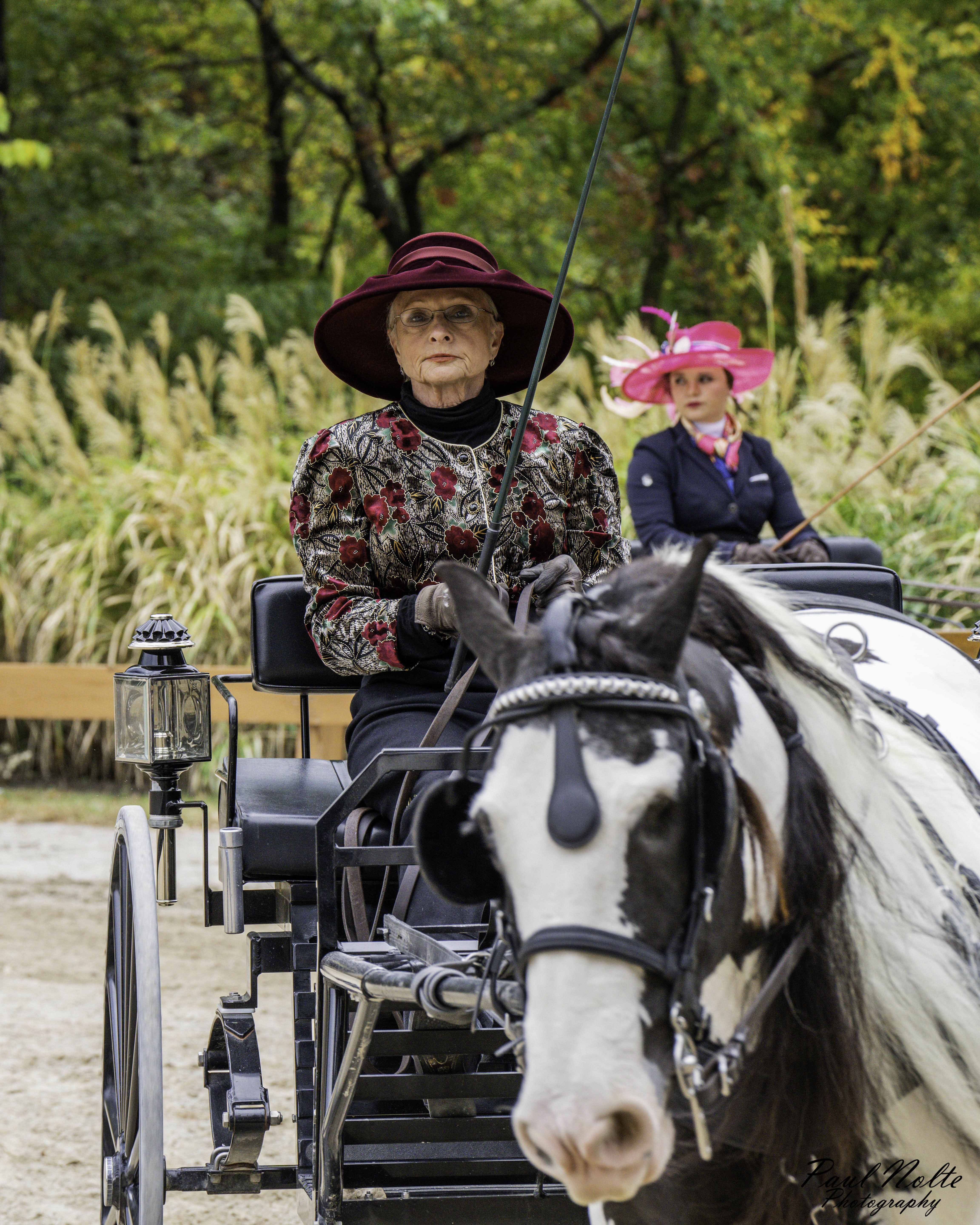 _a1p8780_nashoba carriage classic 2022_WM_SMJPG