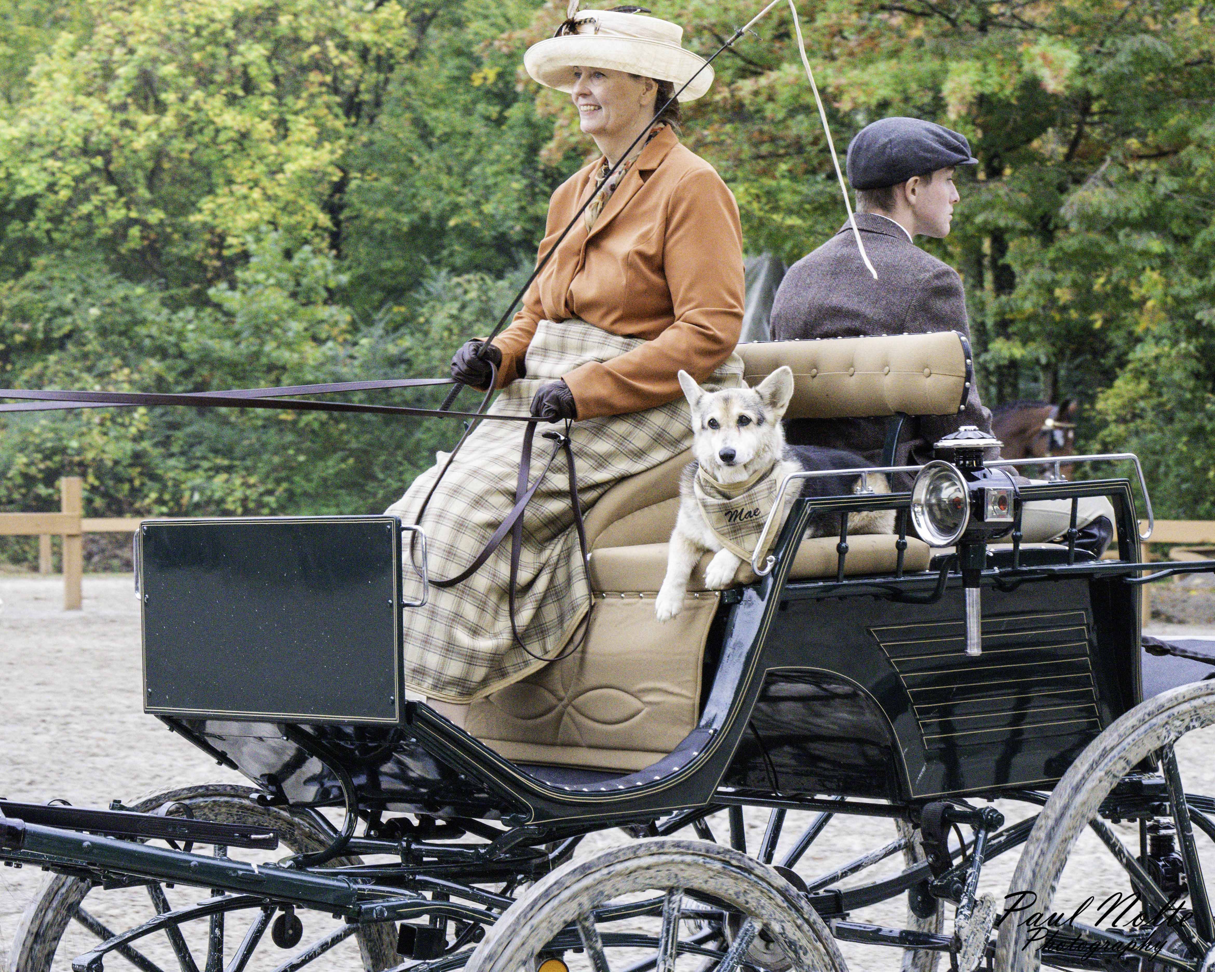 _a1p9504_nashoba carriage classic 2022_WM_SMJPG