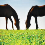 It is Time We Stop Normalizing Toxic Barn Gossip and Behaviors