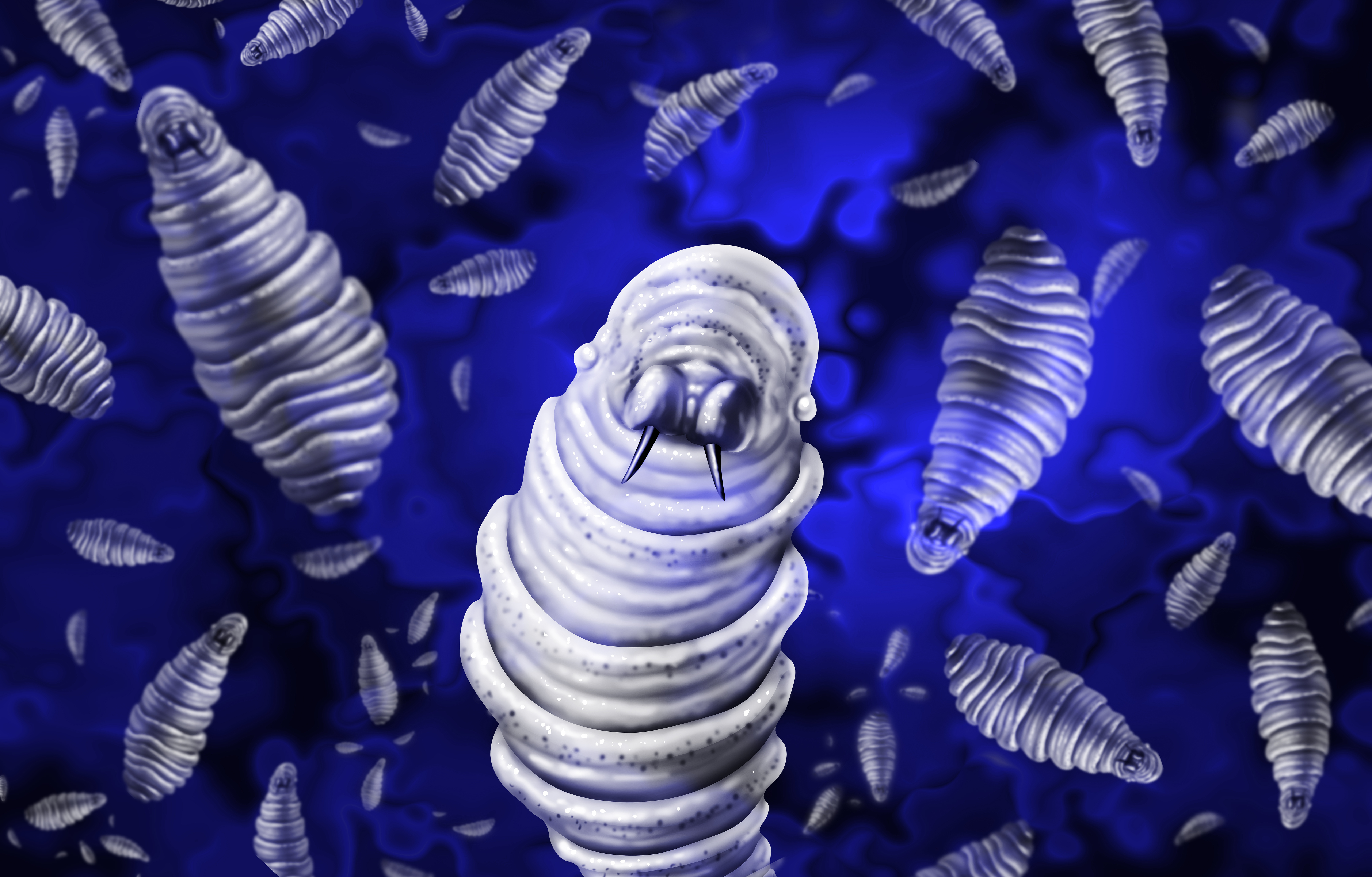 Protecting Your Horse From the New World Screwworm: A Resurgent Threat