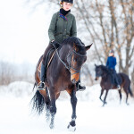 Preventing Common Horse Injuries in Winter: A Guide to Snow and Ice Safety