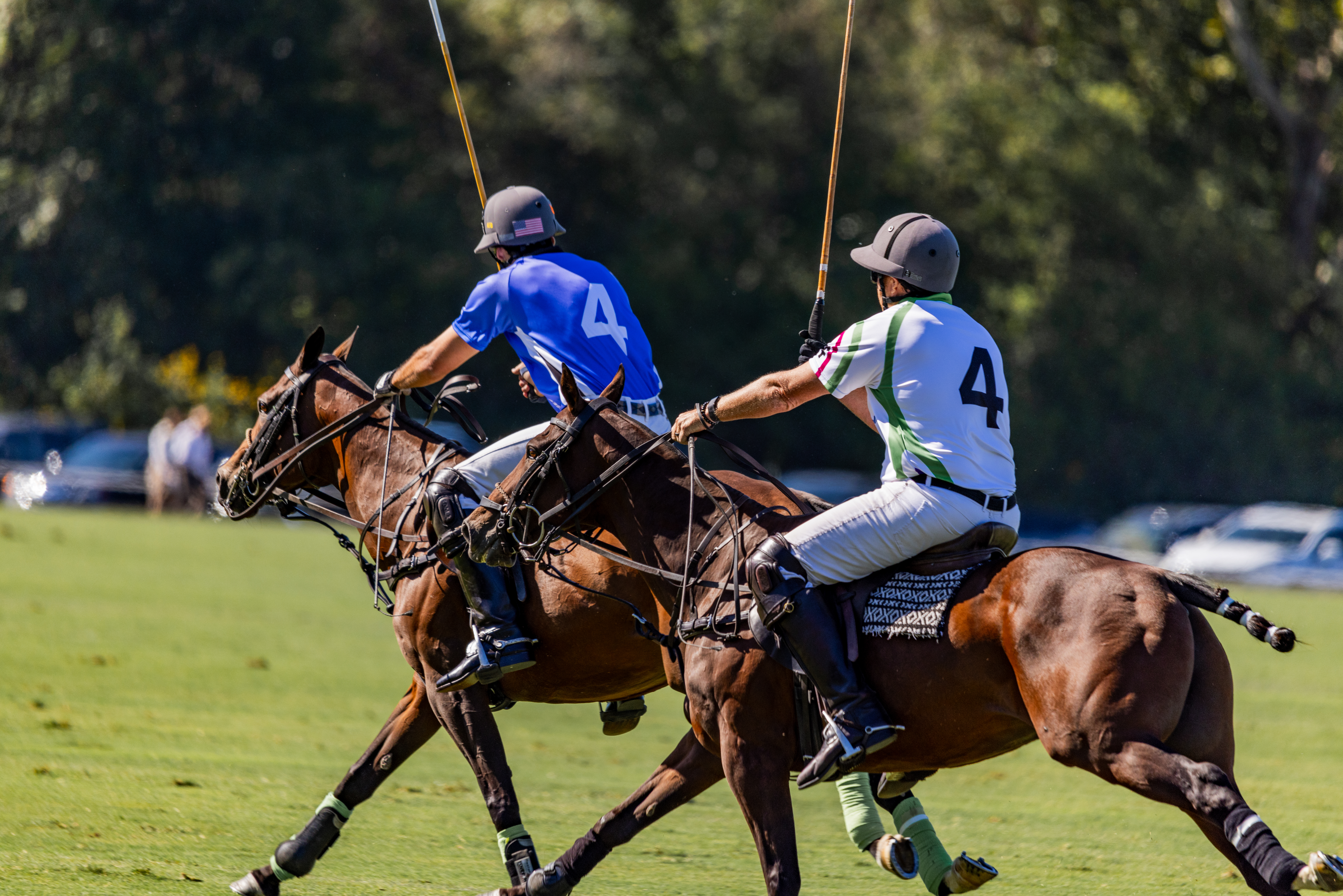 Polo’s Resurgence in Popular Culture Amid Netflix’s Latest Documentary