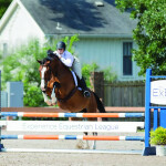 Leading Questions to Ask Collegiate Equestrian Programs