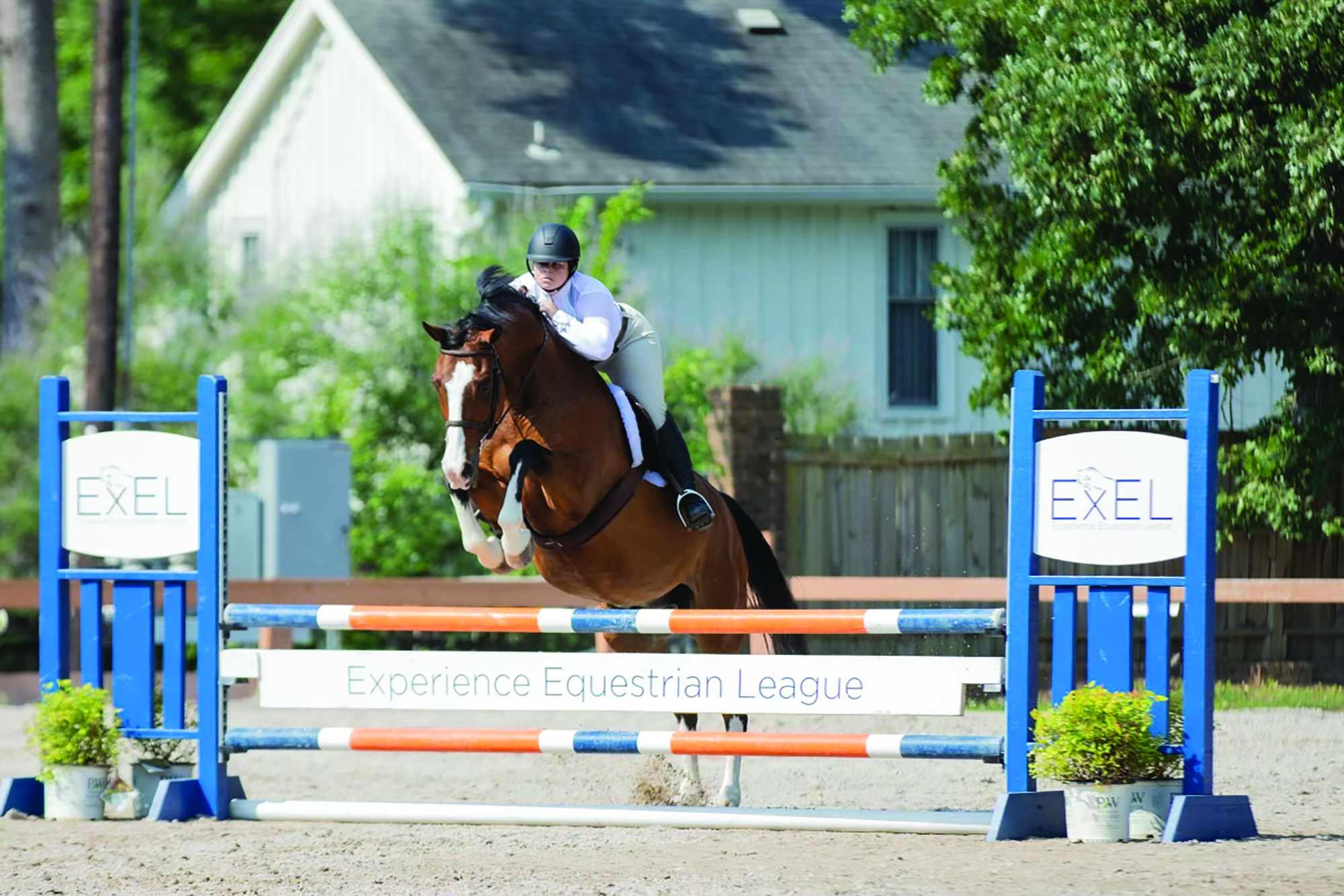 Leading Questions to Ask Collegiate Equestrian Programs