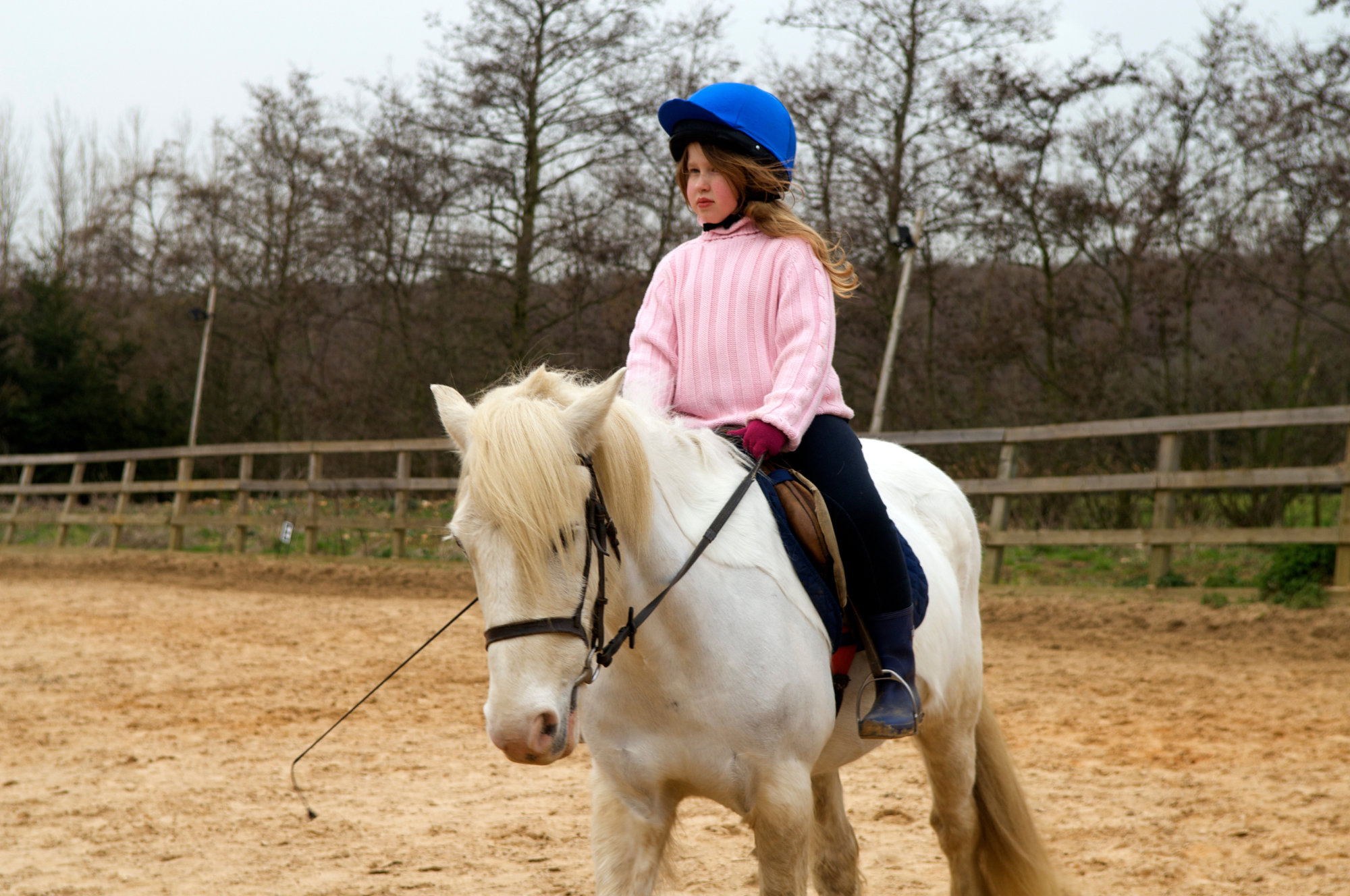 how-to-start-horseback-riding-for-beginners-2025-guide-1.png