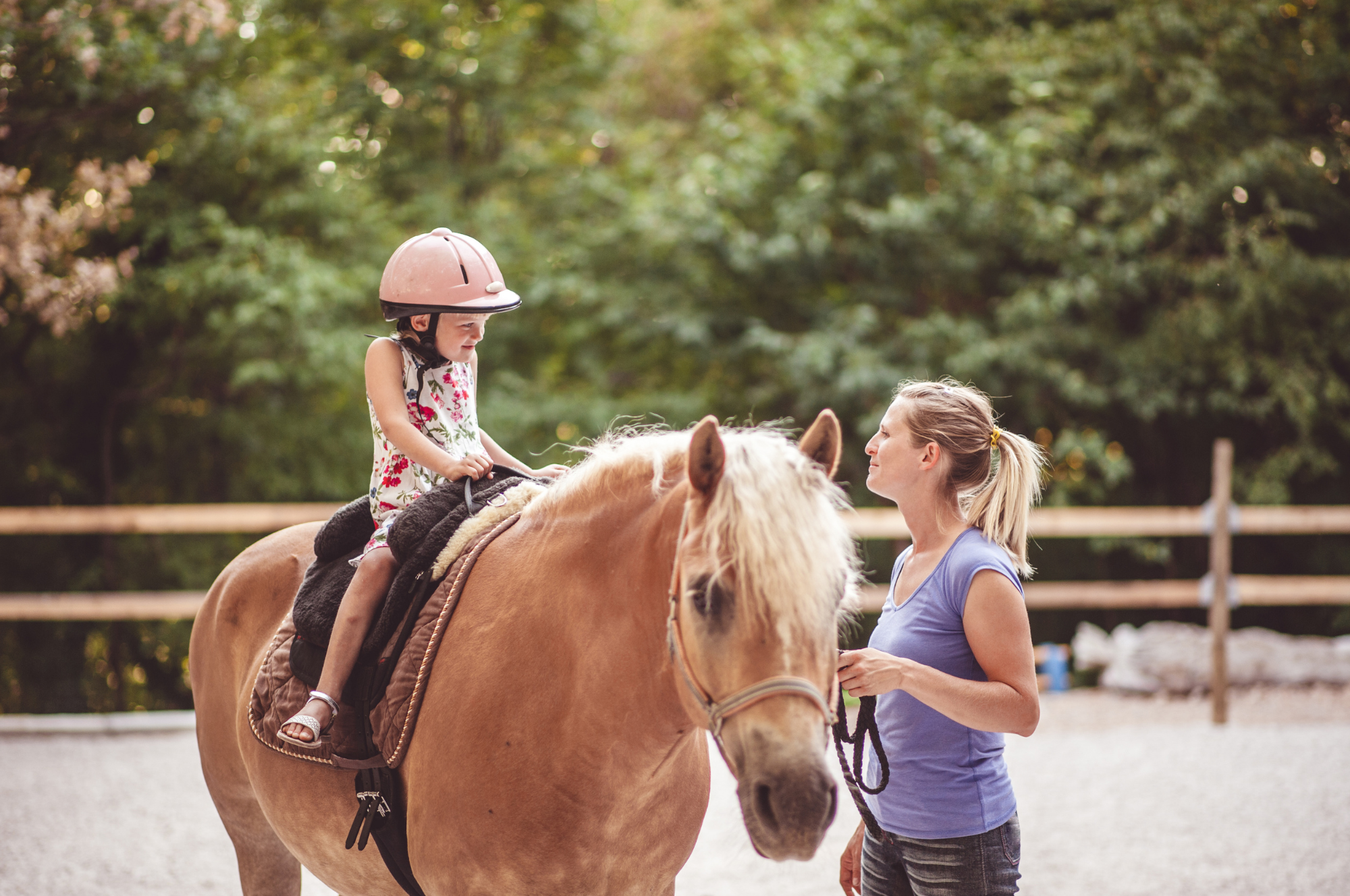 how-to-start-horseback-riding-for-beginners-2025-guide-2.png