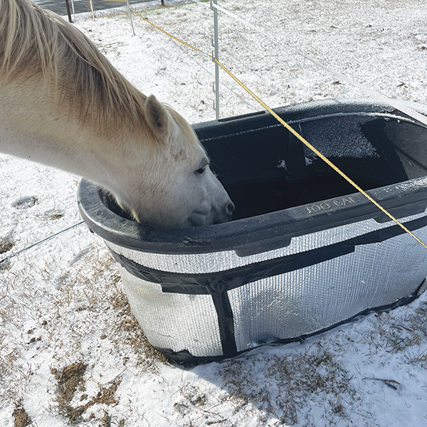 Keeping the Water Trough Thawed
