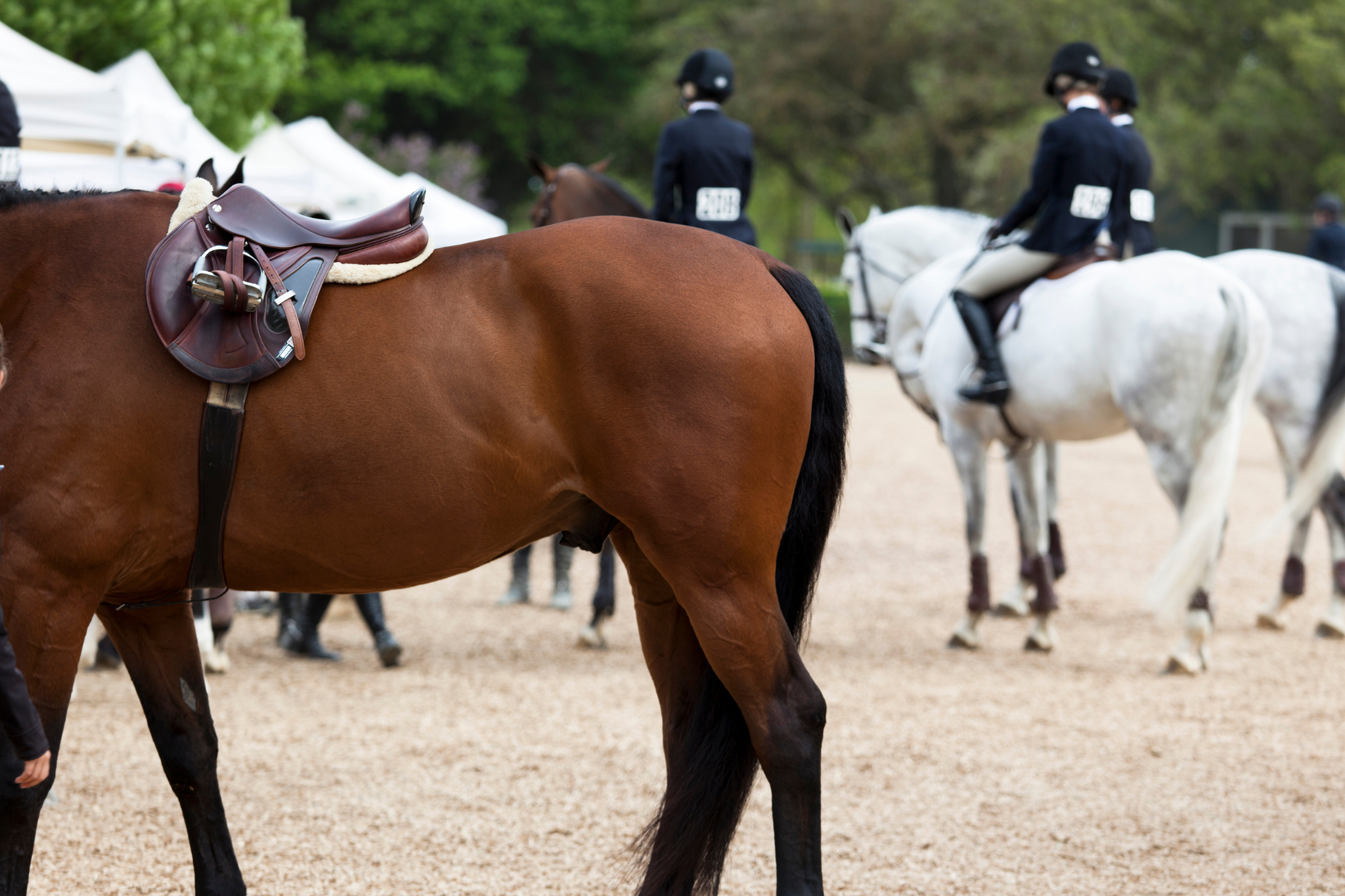 The Cost of Entry: Are Show Fees Pricing Riders Out?