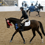 YOUNG RIDER: Kodie Young