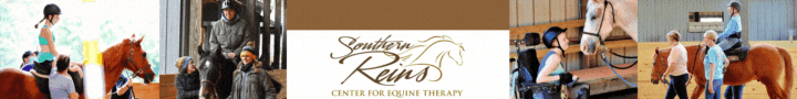 Southern Reins Homepage banner