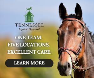 Tn equine jan bottom article
