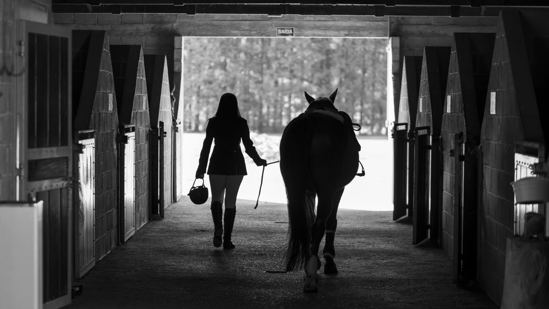 SafeSport in Equestrian Sport: What Barn Culture Gets Wrong